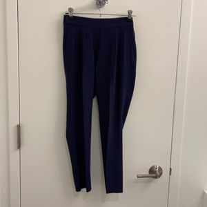 Aritzia Babaton Conan cropped slim leg trouser